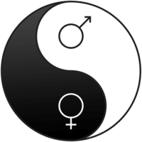 Yin Yang Husband Wife Equality