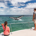 Whale watching together after couples therapy intensive